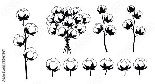 Delicate cotton branches and fluffy bolls arranged in a simple line art composition