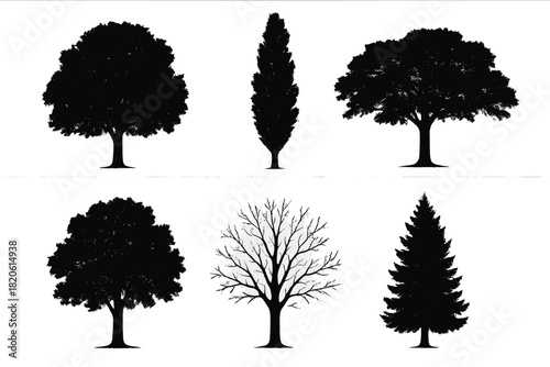 Six detailed black tree silhouettes representing various deciduous and evergreen species