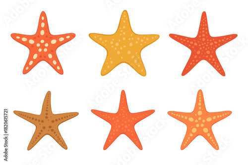 Colorful starfish collection in different shapes and textures isolated on white