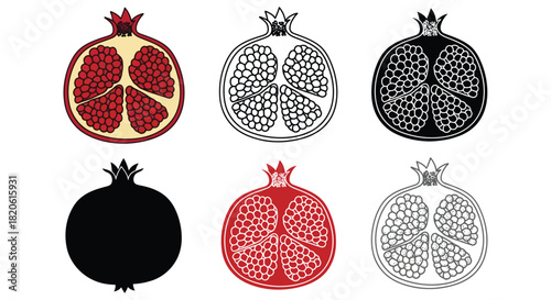 Pomegranate fruit vector illustration healthy food design set art