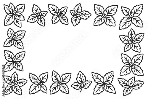 Decorative hand drawn outline of fresh herb leaves forming a rectangular border frame on white background
