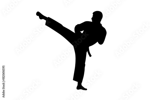Dynamic silhouette of a martial artist performing a powerful high side kick in a fighting stance