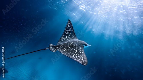 Spotted eagle ray glides through tranquil waters a serene underwater portrait of graceful marine wildlife