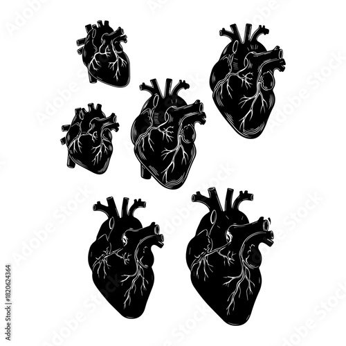 human heart silhouette pack