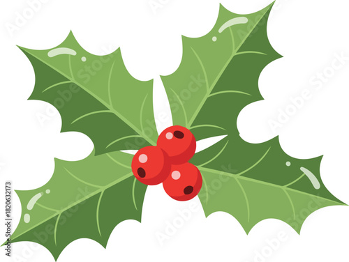 Festive Holly Sprig: A vibrant sprig of holly, with its glossy green leaves and bright red berries, embodying the spirit of the holiday season and traditional winter decorations.