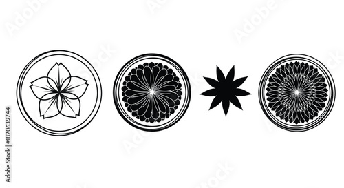 Intricate floral and geometric decorative motifs in black and white