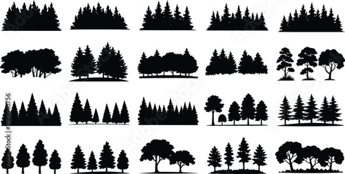 Nature Forest and Pine Tree Silhouettes Collection, Evergreen Conifer Woods, Various Park Landscapes, Black Vector Elements, Outdoor Travel Background, Isolated Illustration Set, for Design 