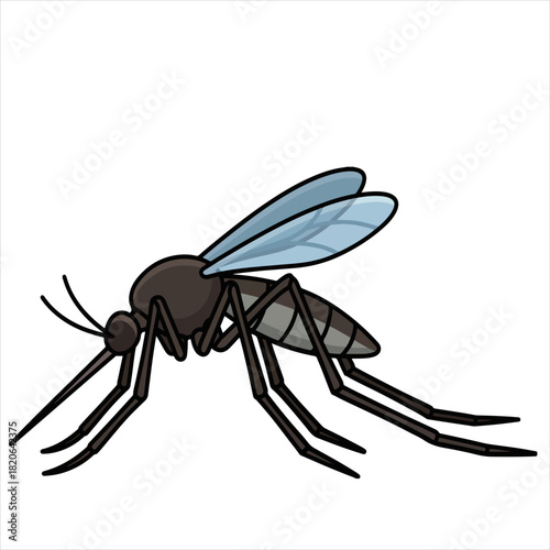 A detailed illustration of a mosquito with a dark brown body and light blue wings on a white background, suitable for educational materials or graphic design.