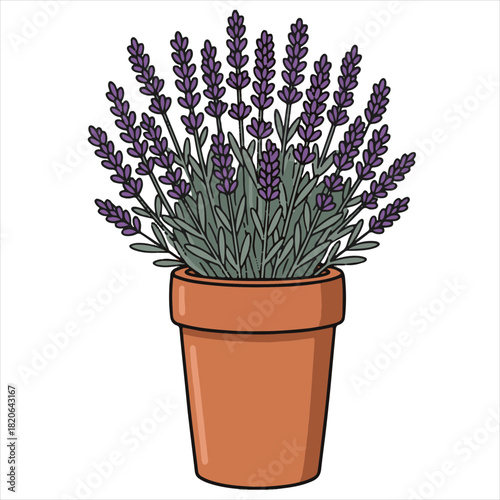 Illustration of a potted lavender plant with purple flowers and green leaves in a terracotta pot on a white background, suitable for gardening or floral designs.