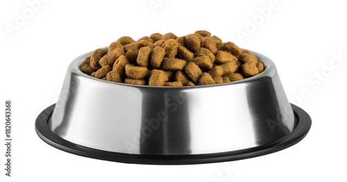 dry dog food in metal bowl on white background