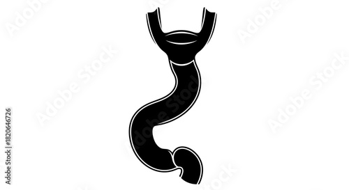 Black and white graphic illustration of a stylized anatomical representation of the human stomach and duodenum.