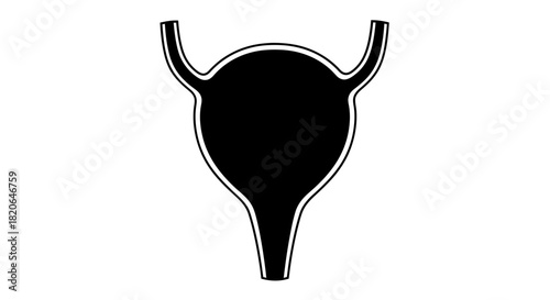 A black and white illustration of a human bladder, showing its anatomical structure.