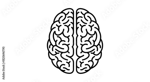 A black and white illustration of a human brain, top view.