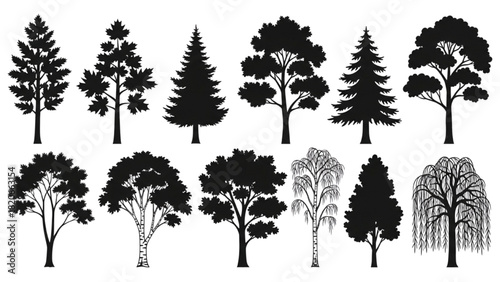 Collection of diverse tree silhouettes representing various forest and garden species for graphic design projects