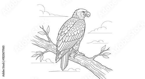 Detailed line art illustration of a majestic eagle perched on a sturdy tree branch, ready for coloring, showcasing its powerful form and sharp features against a simple sky