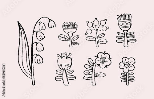 Outline Flowers Doodle. Botanical plants Lily of the Valley, Berries and Chamomile collection. Isolated Textured hand drawing sketch. Vector illustration. Not AI