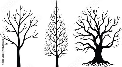 Branch flat design flower silhouettes vector illustration set