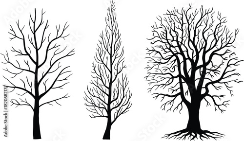 Branch flat design flower silhouettes vector illustration set