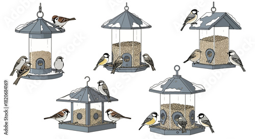 Winter Birds Feasting An Assortment of Bird Feeders with Snow Accents