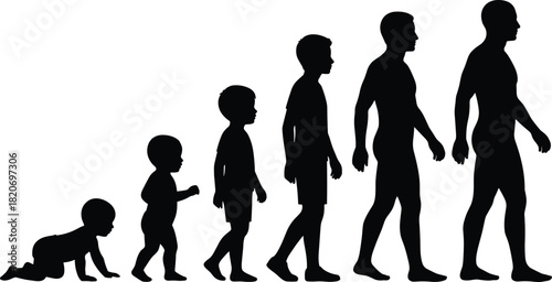 Human growth silhouette, life stages, child to adult, development concept, aging process, evolution profile, educational visual, biology, psychology, timeline