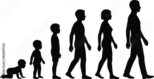 Human growth stages, silhouette evolution, life cycle, child to adult, development timeline, aging process, educational concept, biology, psychology, profile