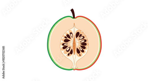 A cross-section illustration of a quince fruit showing the inner core with seeds and a colorful red and green gradient on the skin.