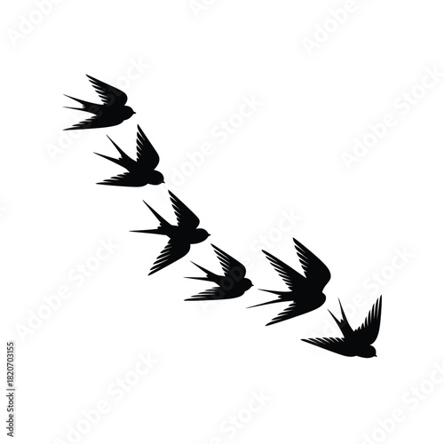 Silhouette of a flock of swallows flying in a curved line