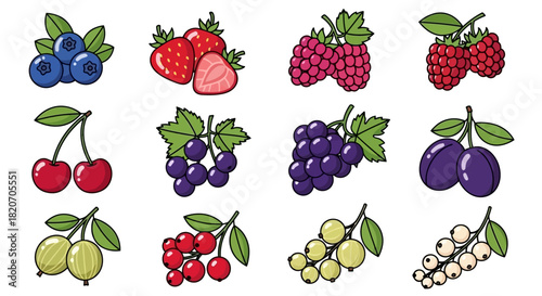 Assortment of Cartoon Fruits Illustration Berries, Cherries, Grapes and Plums