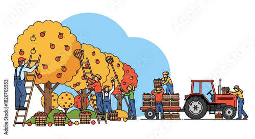 Apple Harvesting Season Farmers and Tractor in Orchard Gathering Fruits with Baskets and Ladders