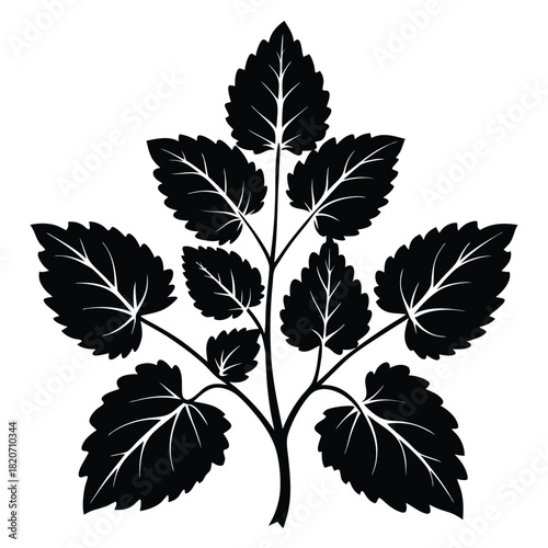 A solitary black botanical branch with symmetrical leaf clusters is featured against a white background