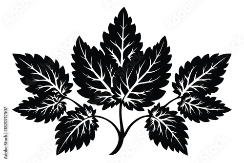 Black foliage features intricately veined leaves branching from a central stem to form a botanical motif