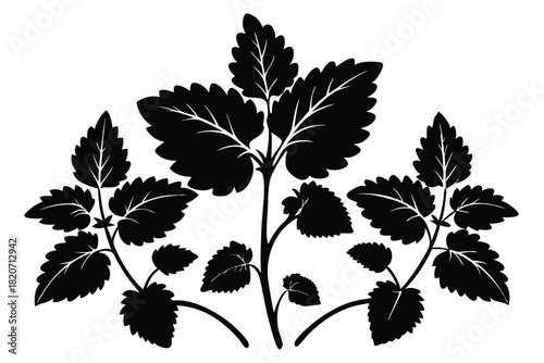 Black leaf design featuring three stems that sprout lush, detailed foliage in monotone