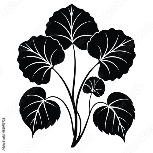 Elegant monochrome foliage reveals stylized leaf veins in a botanical silhouette