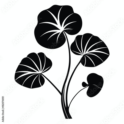 Black stylized plant shows its detailed leaves and curved stems on a white background