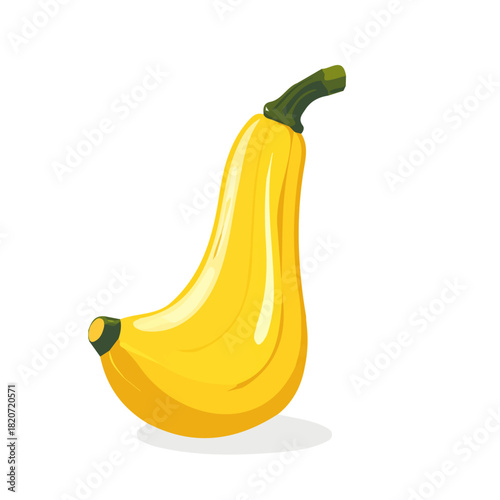 An Imaginary 2D flat icon whole_squash, modern element in vector and EPS format_clean vector_isolated on a white background