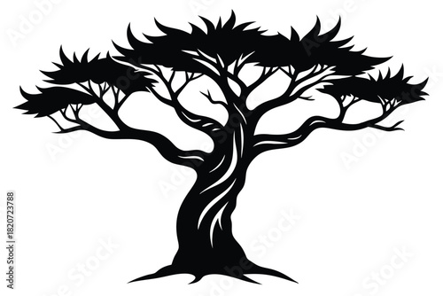 Silhouette reveals a striking tree with gnarled branches and jagged leaves against a clear background