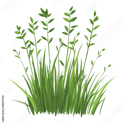 An Imaginary 2D flat icon wild grass field, modern element in vector and EPS format_clean vector_isolated on a white background