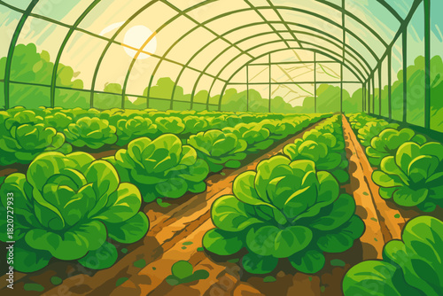 Lettuce Greenhouse Serenity. Dynamic shot of fresh green lettuce heads growing in neat rows vector illustration under a sunlit