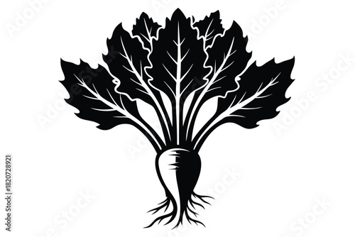 A striking silhouette reveals sugar beet's rich leaves and root structure, against a clean white backdrop