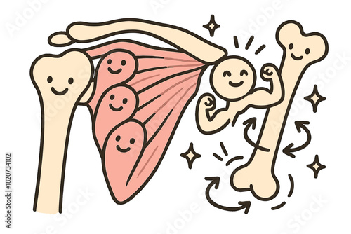 Happy Shoulder Mechanics. Joyful doodle shoulder mechanics illustration with happy rotator cuff muscles, cartoon bones with faces,