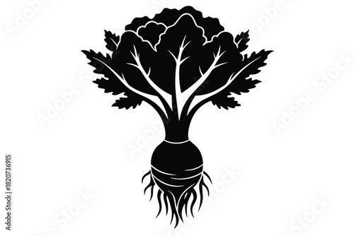 A stylized black turnip or beet illustration is showing its roots and leafy greens