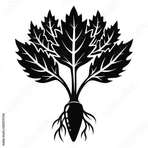Single beet with plentiful leaves and long roots displayed in strong black monochrome