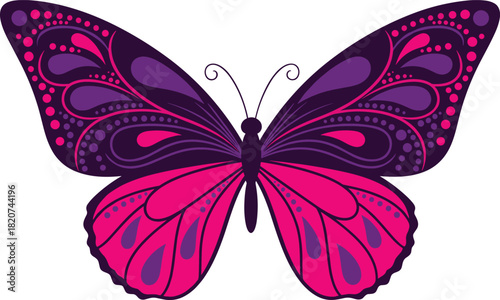 Purple pink butterfly vector illustration, symmetrical wings, decorative patterns, vibrant colors, teardrop shapes, curved lines, artistic insect design