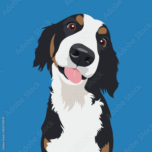 A cute vector illustration of a happy Bernese Mountain Dog puppy smiling with its tongue out. The dog has tricolor fur (black, white, and brown) against a solid blue background.