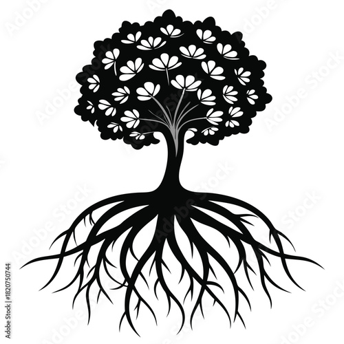 Silhouette of a tree showing the roots with the blossoming flowers in springtime