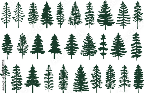 Collection of various hand drawn pine trees and firs.