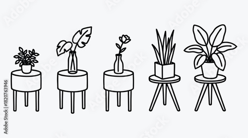 Line art illustration of indoor plants on side tables decoration
