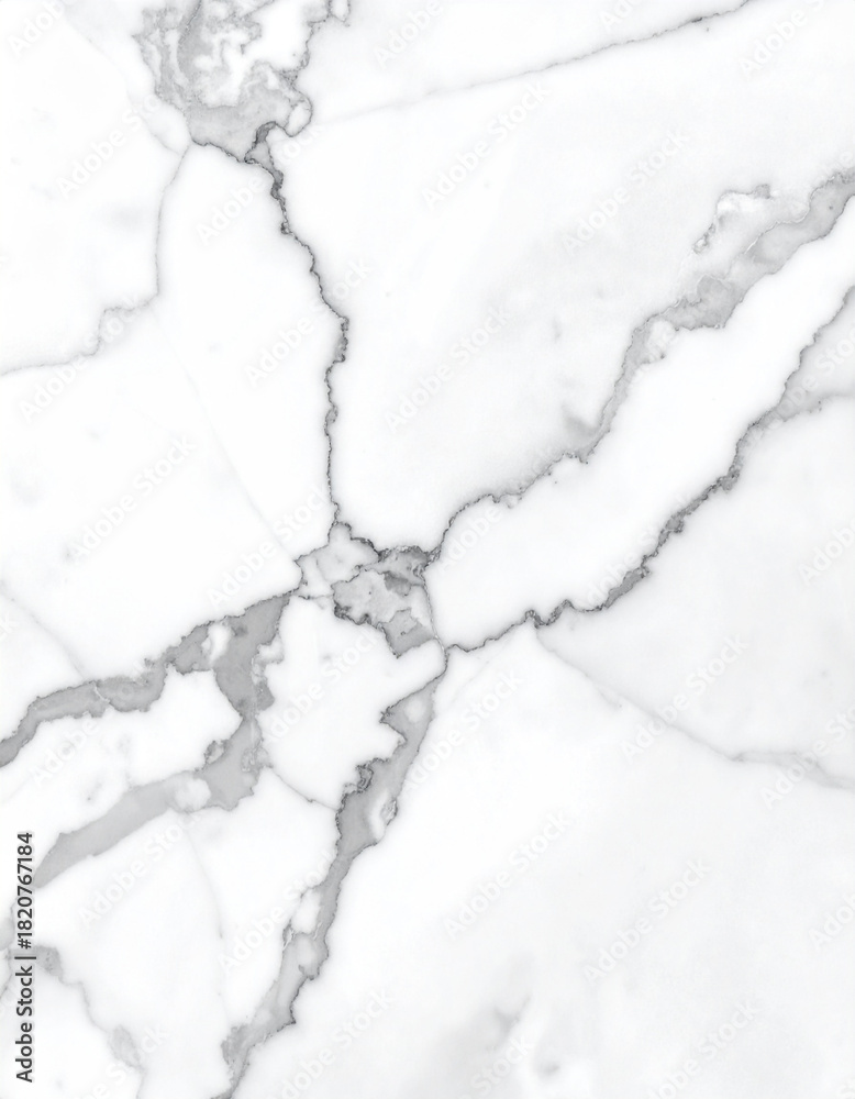 Obraz premium Elegant White Marble Stone Texture with Grey Veins