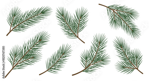 Collection of detailed pine tree branches with green needles in various orientations creating a natural forest element set.