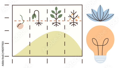 Growth process chart showing plant development stages with a light bulb and flower. Ideal for growth, progress, innovation, eco-consciousness, sustainability, education, agriculture, simple flat